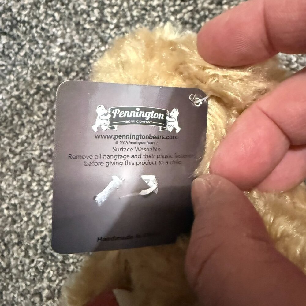 🌈 Pennington Collegiate Collectible Bear with rainbow heart 🌈 - Picture 4 of 5